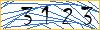 Type the numbers that you see in the picture