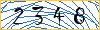Type the numbers that you see in the picture
