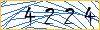 Type the numbers that you see in the picture
