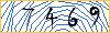 Type the numbers that you see in the picture
