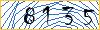 Type the numbers that you see in the picture