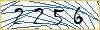 Type the numbers that you see in the picture