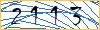 Type the numbers that you see in the picture