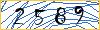 Type the numbers that you see in the picture