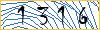 Type the numbers that you see in the picture