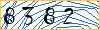 Type the numbers that you see in the picture
