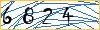Type the numbers that you see in the picture