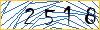Type the numbers that you see in the picture
