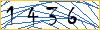 Type the numbers that you see in the picture