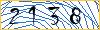 Type the numbers that you see in the picture