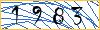 Type the numbers that you see in the picture