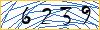 Type the numbers that you see in the picture