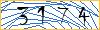 Type the numbers that you see in the picture