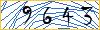 Type the numbers that you see in the picture