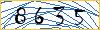 Type the numbers that you see in the picture