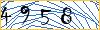 Type the numbers that you see in the picture