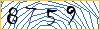 Type the numbers that you see in the picture