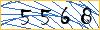 Type the numbers that you see in the picture