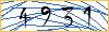 Type the numbers that you see in the picture