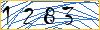 Type the numbers that you see in the picture