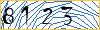 Type the numbers that you see in the picture