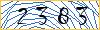 Type the numbers that you see in the picture