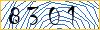 Type the numbers that you see in the picture