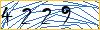Type the numbers that you see in the picture