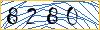 Type the numbers that you see in the picture