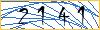 Type the numbers that you see in the picture