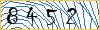Type the numbers that you see in the picture