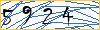 Type the numbers that you see in the picture