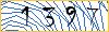 Type the numbers that you see in the picture