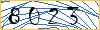 Type the numbers that you see in the picture