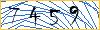 Type the numbers that you see in the picture