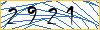 Type the numbers that you see in the picture