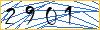 Type the numbers that you see in the picture