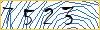 Type the numbers that you see in the picture