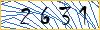 Type the numbers that you see in the picture