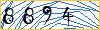Type the numbers that you see in the picture