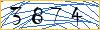 Type the numbers that you see in the picture