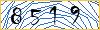 Type the numbers that you see in the picture