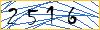 Type the numbers that you see in the picture