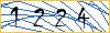 Type the numbers that you see in the picture