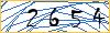 Type the numbers that you see in the picture