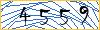 Type the numbers that you see in the picture