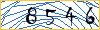Type the numbers that you see in the picture