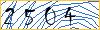 Type the numbers that you see in the picture