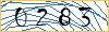 Type the numbers that you see in the picture
