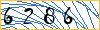 Type the numbers that you see in the picture